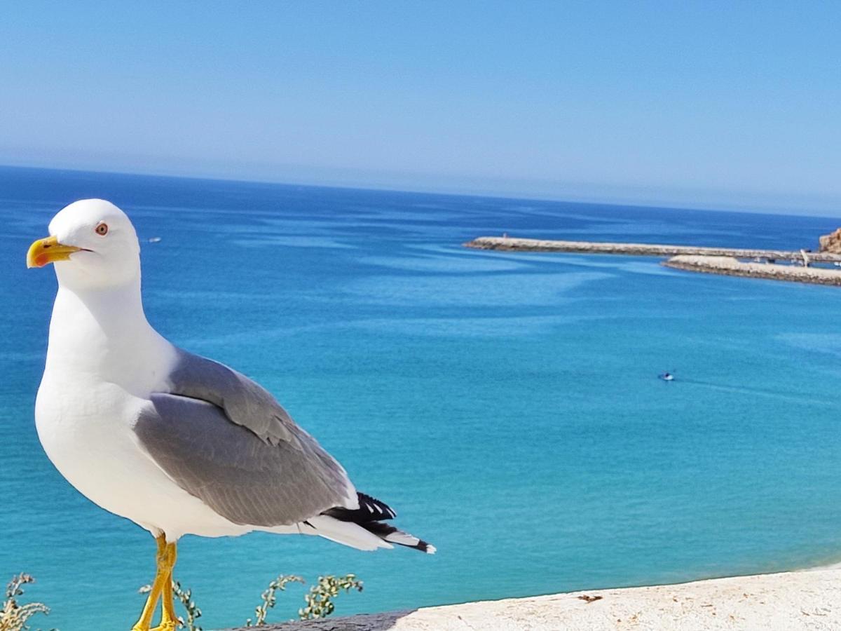 Alzira By Rossio Leilighet Albufeira Eksteriør bilde